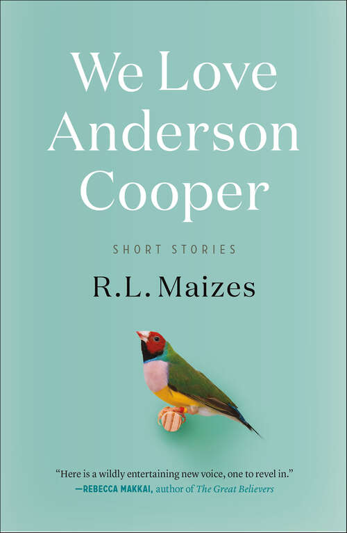 Book cover of We Love Anderson Cooper: Short Stories