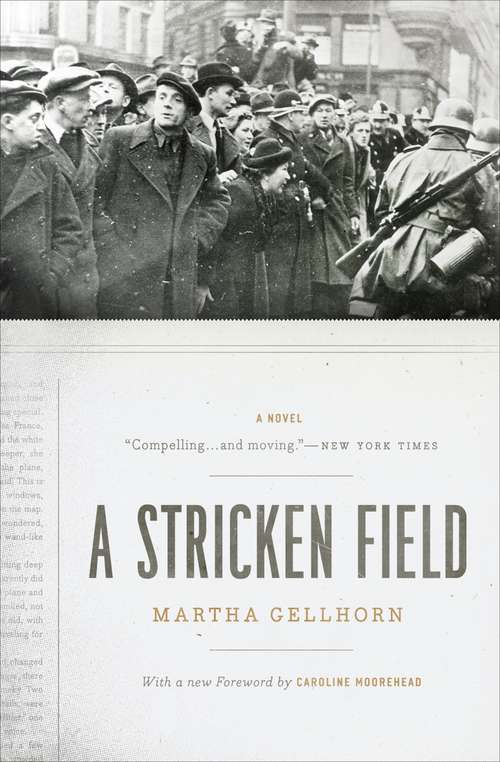 Book cover of A Stricken Field