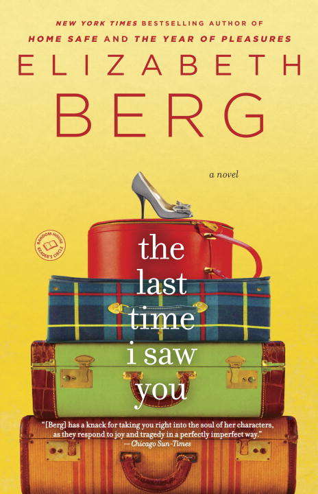 Book cover of The Last Time I Saw You: A Novel