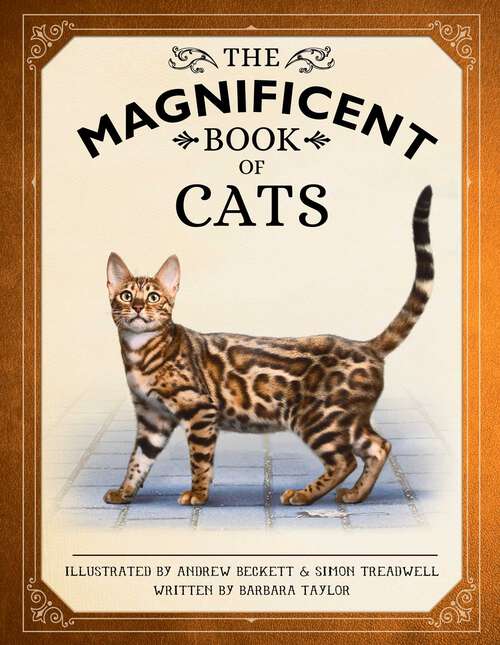 Book cover of The Magnificent Book of Cats: (kids Books About Cats, Middle Grade Cat Books, Books About Animals) (The Magnificent Book of)