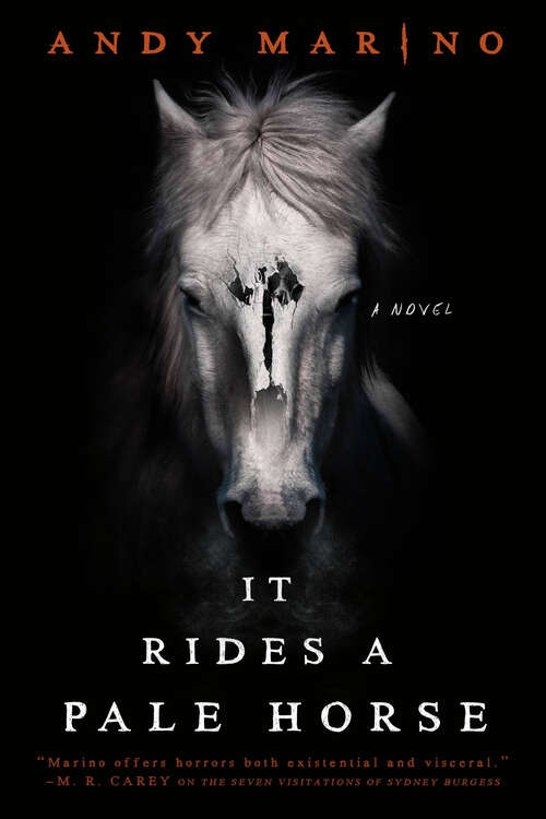 Book cover of It Rides a Pale Horse