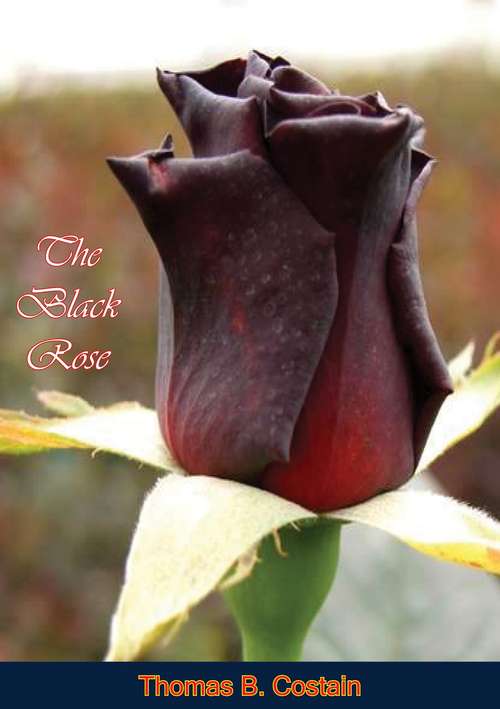 Book cover of The Black Rose
