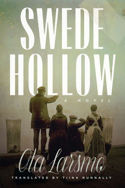 Book cover of Swede Hollow: A Novel (1)