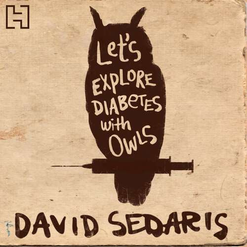 Book cover of Let's Explore Diabetes With Owls