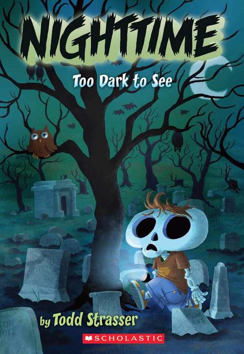 Book cover of Too Dark to See (Nighttime #1)