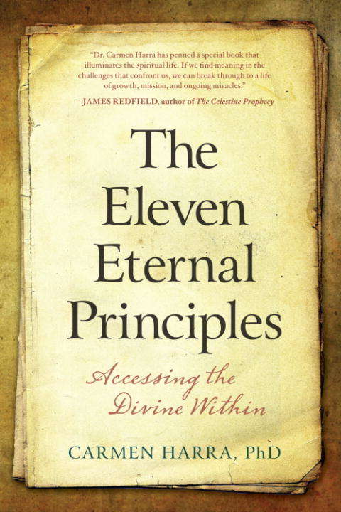 Book cover of The Eleven Eternal Principles: Accessing the Divine Within