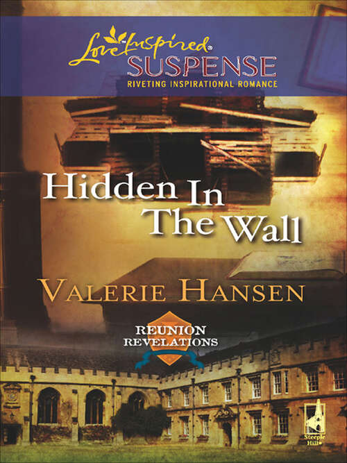 Book cover of Hidden in the Wall