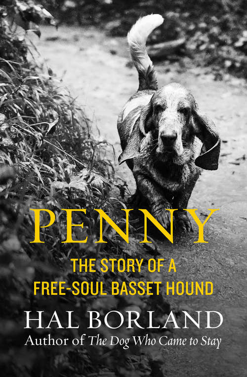 Book cover of Penny: The Story of a Free-Soul Basset Hound
