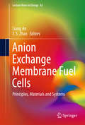 Anion Exchange Membrane Fuel Cells: Principles, Materials And Systems (Lecture Notes In Energy #63)