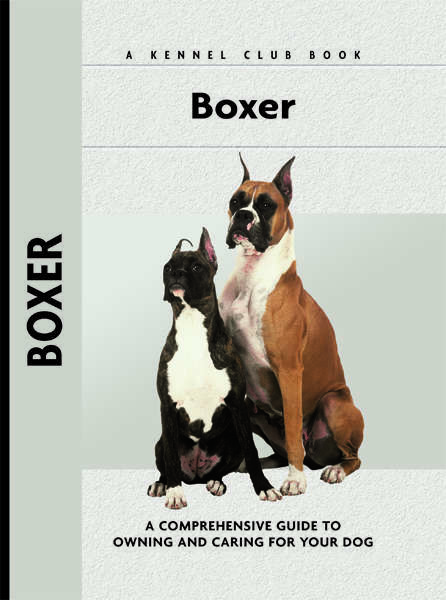 Book cover of Boxer