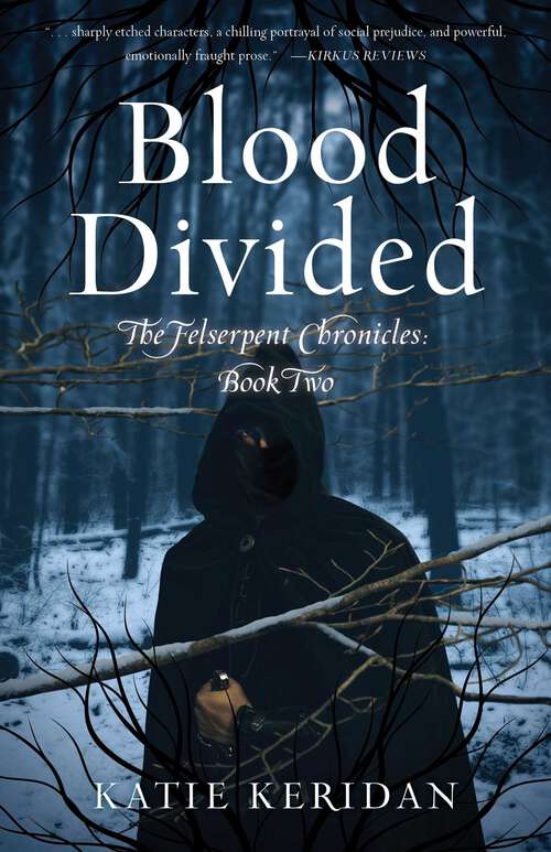 Book cover of Blood Divided: The Felserpent Chronicles: Book Two