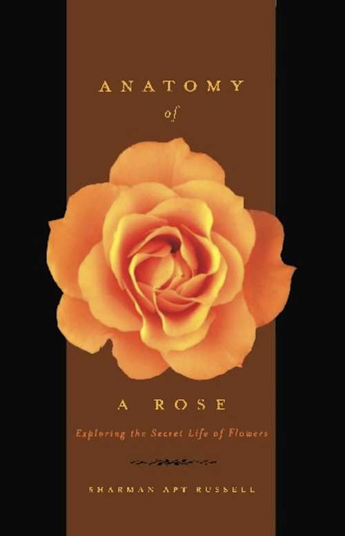 Book cover of Anatomy Of A Rose