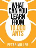 What You Can Learn from 10,000 Ants (Collins Shorts Ser. #Book 4)