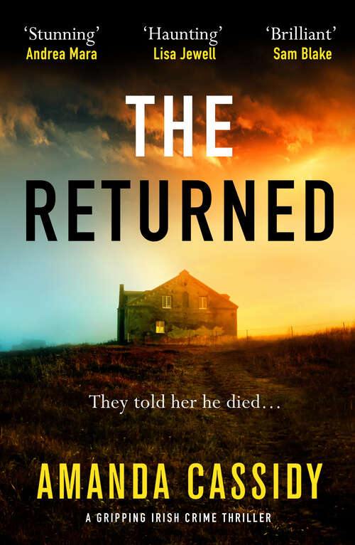Book cover of The Returned: A gripping Irish crime thriller