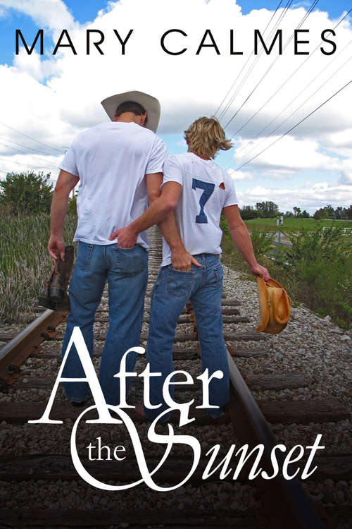 Book cover of After the Sunset