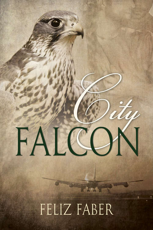 Book cover of City Falcon