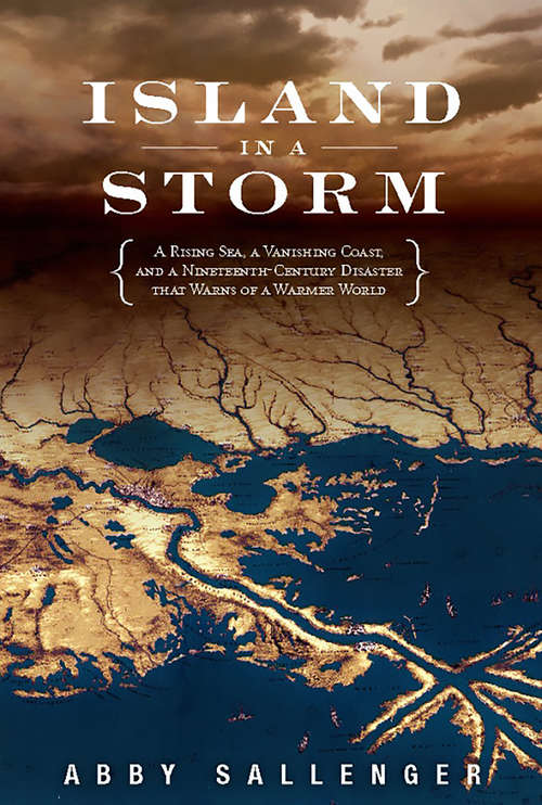 Book cover of Island in a Storm