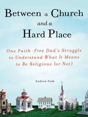 Book cover of Between a Church and a Hard Place