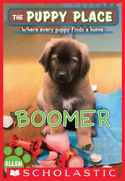 Book cover of Boomer (The Puppy Place #37)
