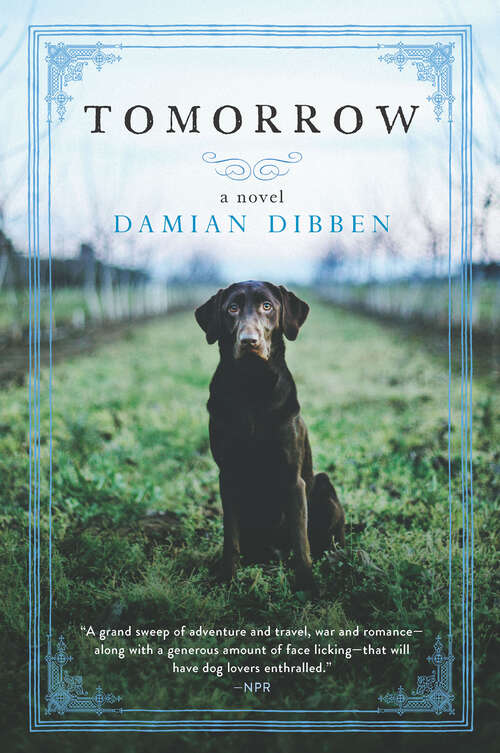 Book cover of Tomorrow: A Novel