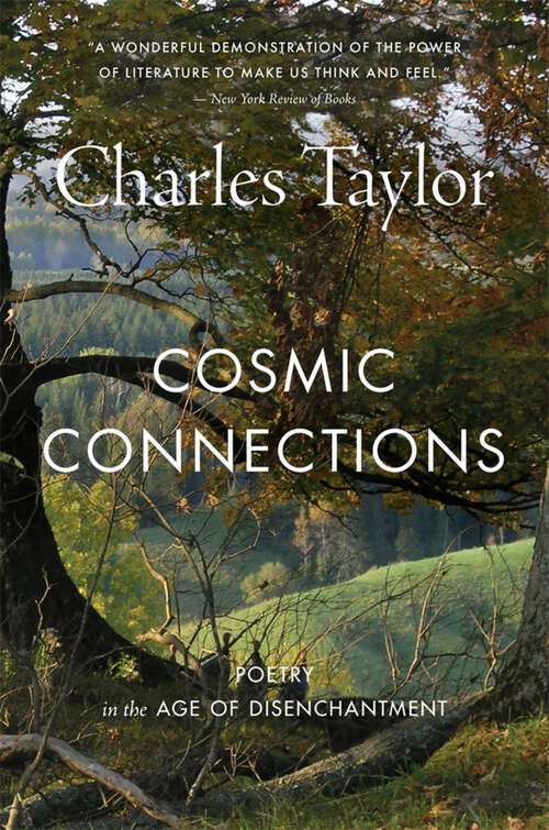 Book cover of Cosmic Connections: Poetry in the Age of Disenchantment