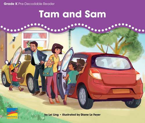 Book cover of Tam and Sam