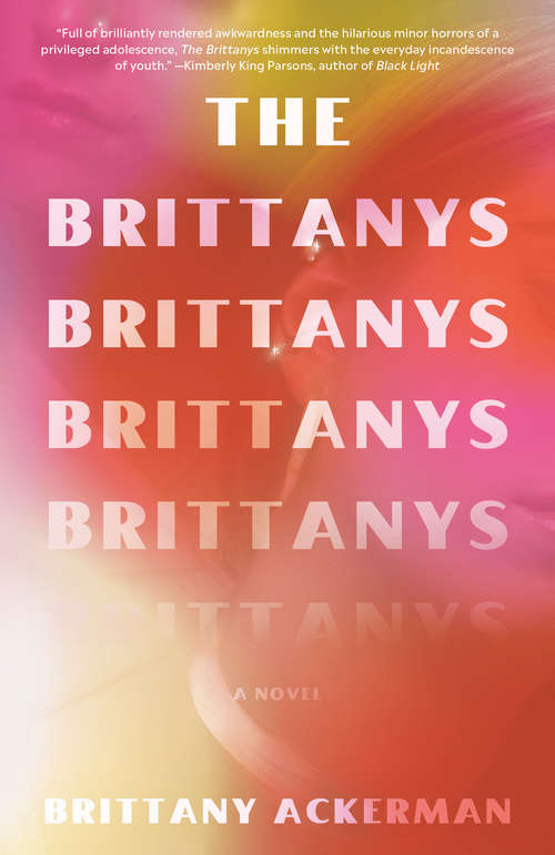 Book cover of The Brittanys: A Novel