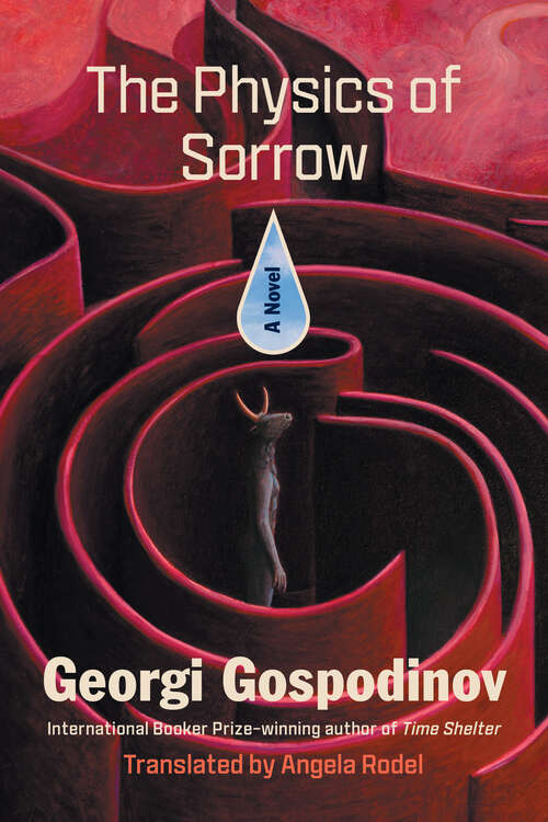 Book cover of The Physics of Sorrow: A Novel