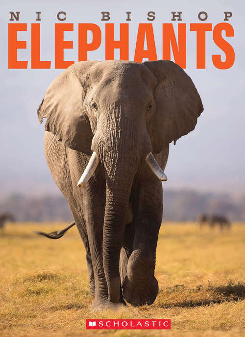 Book cover of Nic Bishop Elephants