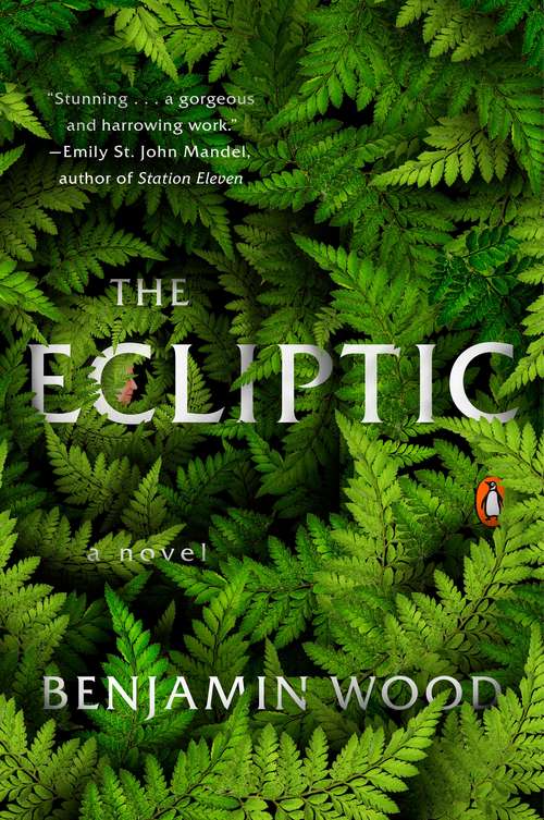 Book cover of The Ecliptic: A Novel