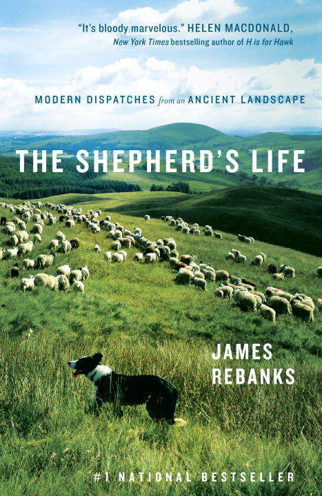Book cover of The Shepherd's Life