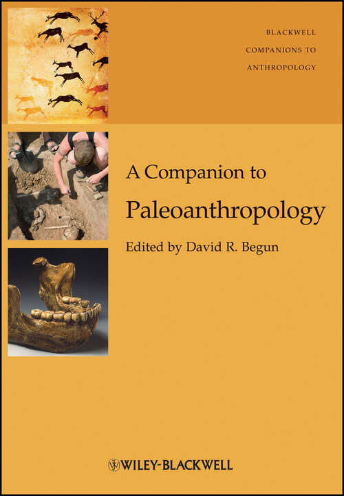 Book cover of A Companion to Paleoanthropology