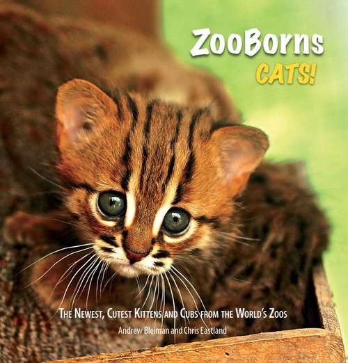 Book cover of ZooBorns Cats!