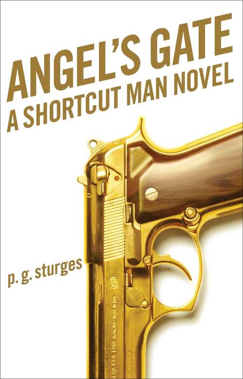 Book cover of Angel's Gate