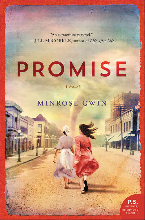 Book cover of Promise: A Novel