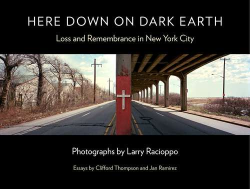 Book cover of Here Down on Dark Earth: Loss and Remembrance in New York City (1)