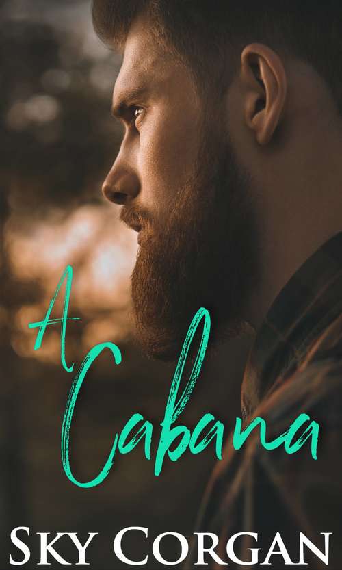 Book cover of A Cabana
