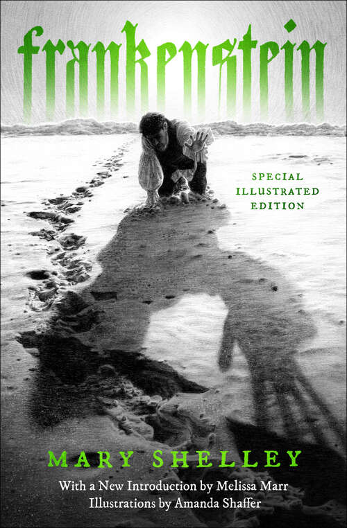 Book cover of Frankenstein