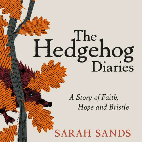 Book cover of Hedgehog Diaries: A story of faith, hope and bristle