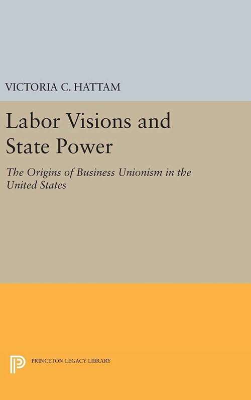 Book cover of Labor Visions and State Power: The Origins of Business Unionism in the United States (Princeton Studies In American Politics: Historical, International, and Comparative Perspectives)