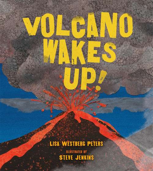 Book cover of Volcano Wakes Up