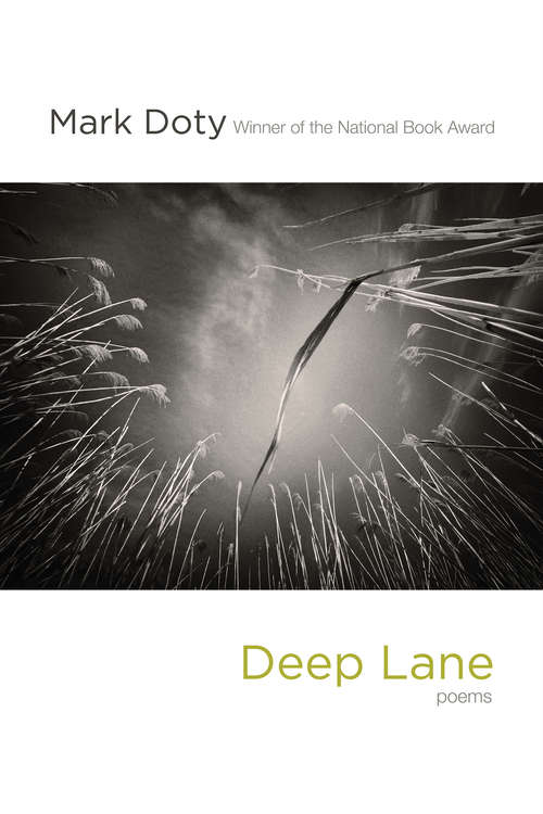 Book cover of Deep Lane: Poems
