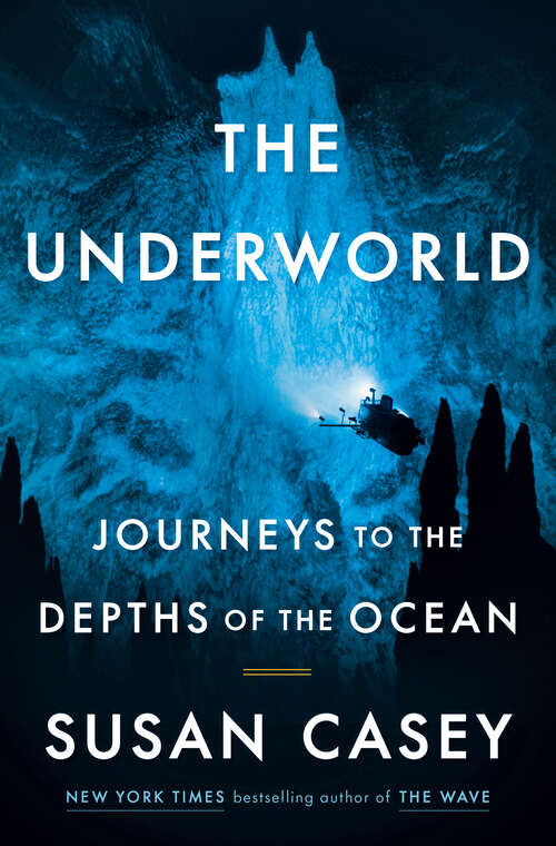 Book cover of The Underworld: Journeys to the Depths of the Ocean