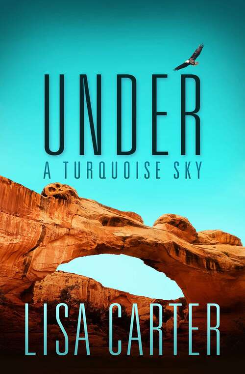 Book cover of Under A Turquoise Sky