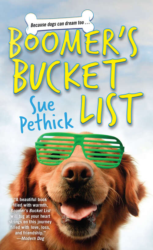 Book cover of Boomer's Bucket List