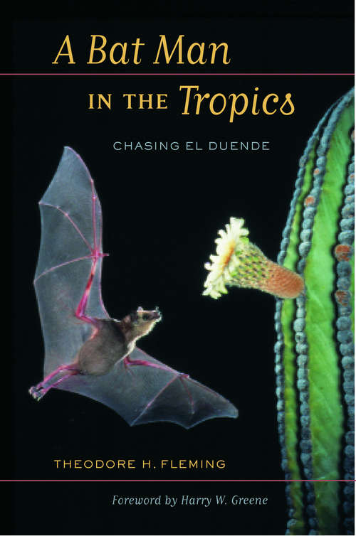 Book cover of A Bat Man in the Tropics