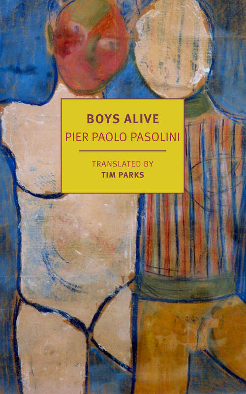 Book cover of Boys Alive