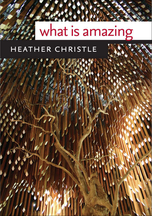 Book cover of What Is Amazing (Wesleyan Poetry Series)