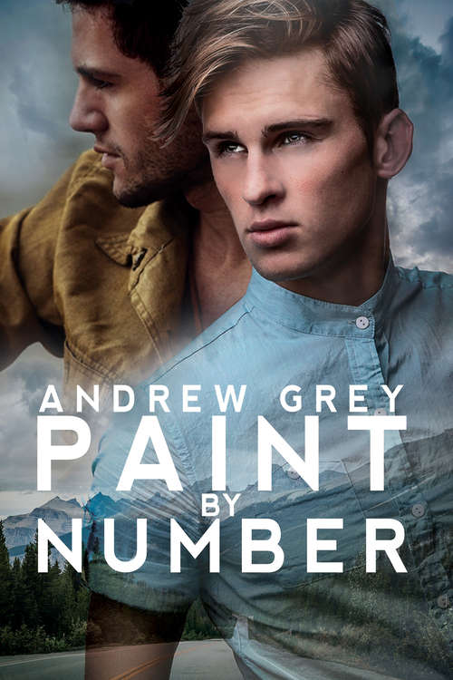 Book cover of Paint by Number