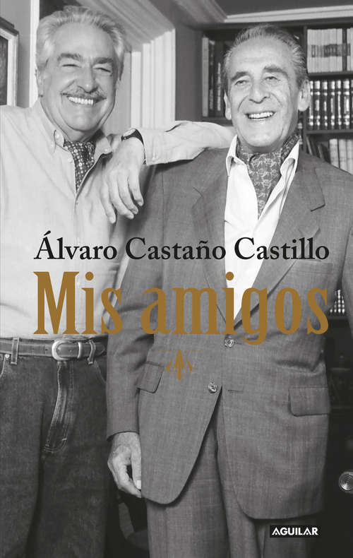 Book cover of Mis amigos